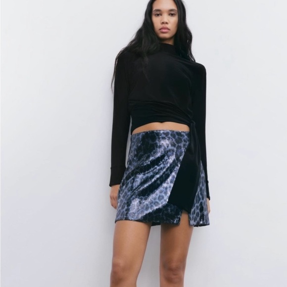 Sequin Skirt - Picture 1 of 7